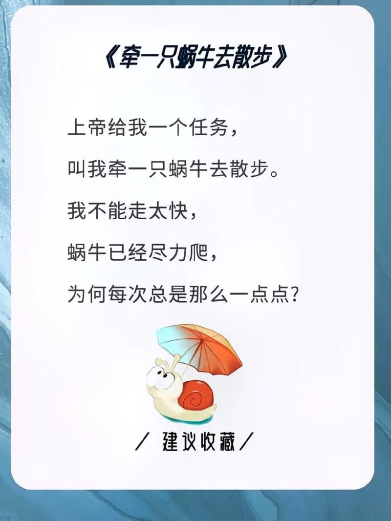 从蜗牛到闪电，我的自动发卡网优化血泪史与实战指南