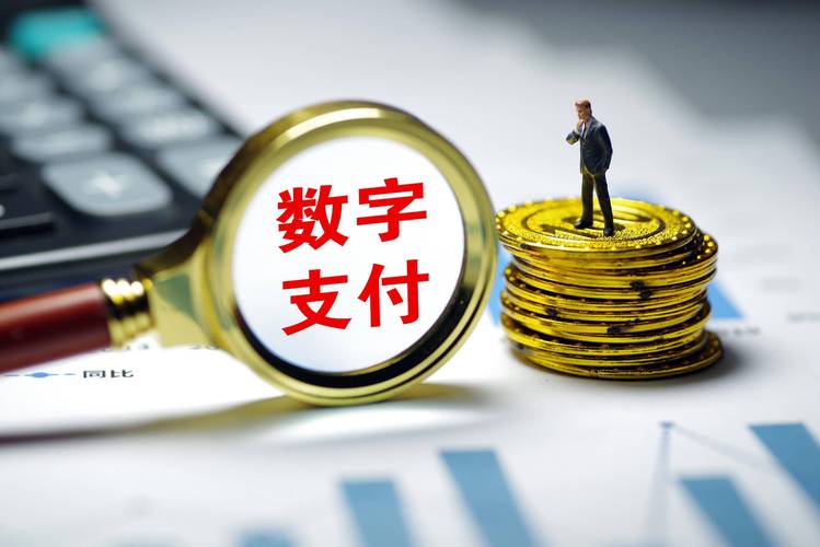 智能支付时代，发卡网平台支付结算服务的革新与思考