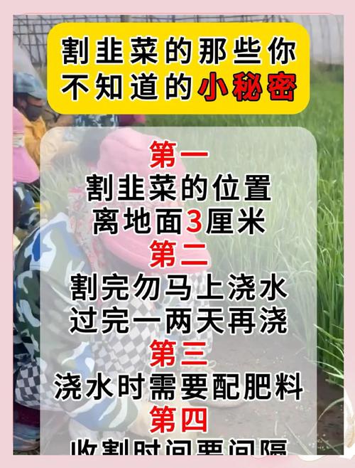 提现手续费背后的秘密,三方支付平台如何割韭菜?
