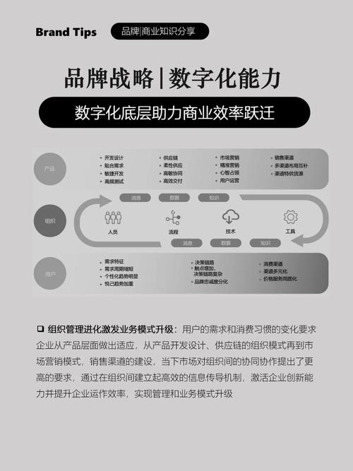 跨境支付结算的数字化跃迁，多币种月结报表如何重塑企业财务效率