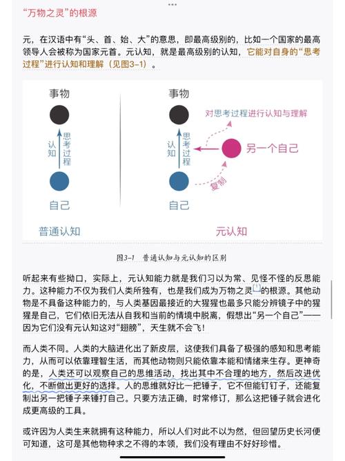卡密库存预警系统，颠覆传统认知的反思与冷思考