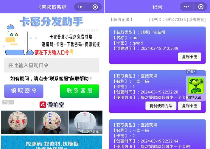 揭秘自动发卡网的自定义模板导出，如何打造个性化与高效并存的发卡系统？