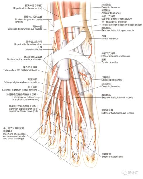 服务器的心跳,一个自动发卡网背后的血管与神经