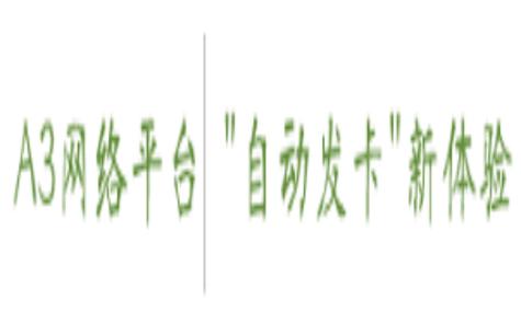 自动发卡网商品导入字段解析,效率与安全的双刃剑