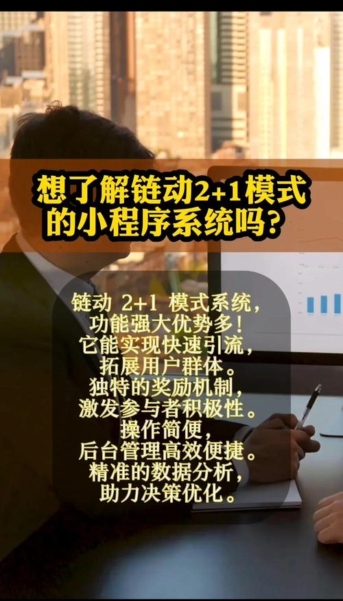 链动小铺,数字浪潮中的商业方舟,还是昙花一现的流量幻影?