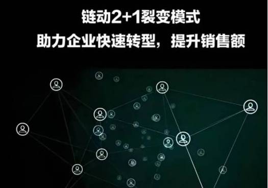 链动小铺，数字化转型的隐秘革命者