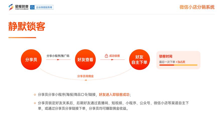 链动小铺与支付宝,一场绑定背后的商业迷思与时代裂痕
