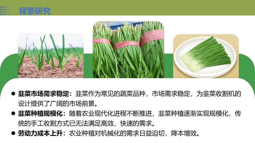 链动小铺,是副业躺赢的黄金门路,还是精心包装的韭菜收割机?