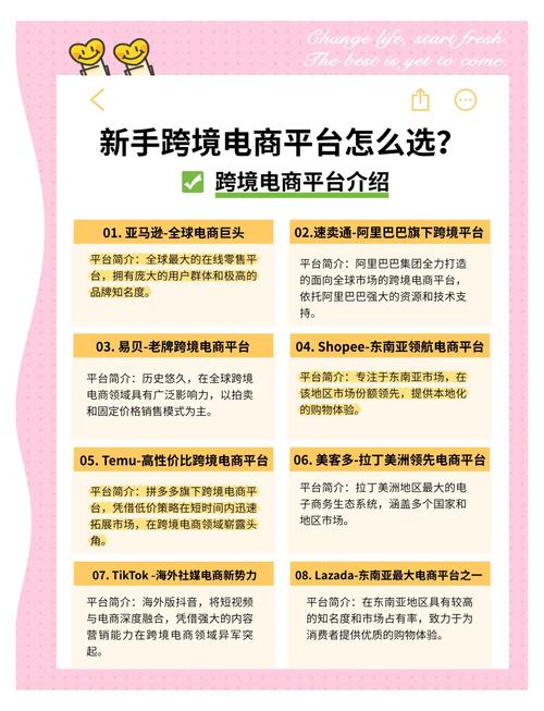 链动小铺,跨境支付的蓝海,还是新手卖家的迷途?