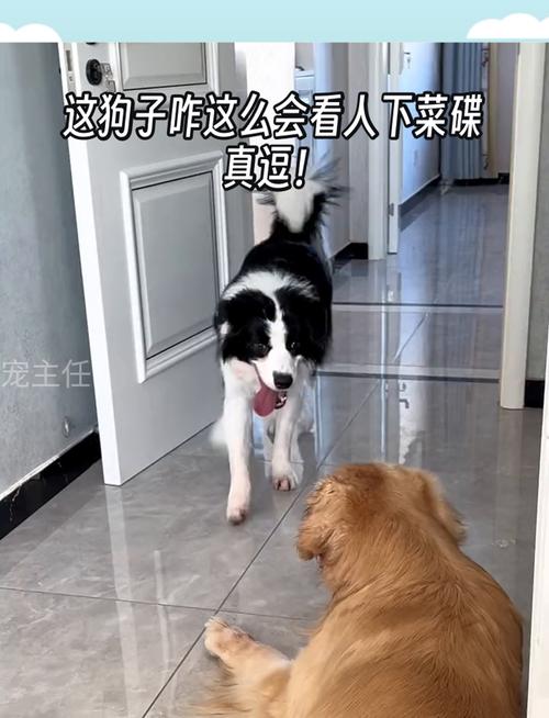 你的发卡网,也能看人下菜碟,聊聊不同渠道的差别定价艺术