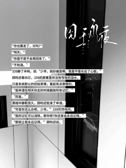 无声的握手，解码发卡网支付回调，那场决定生死的暗夜对话