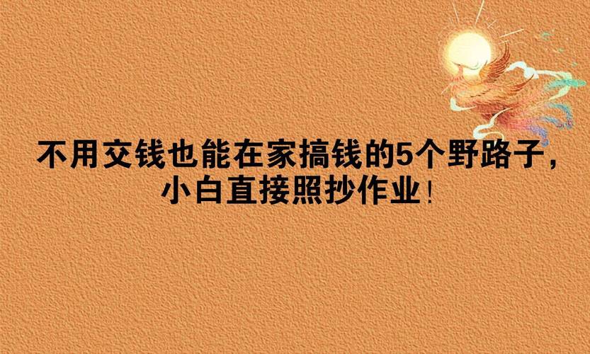 隐秘的搞钱路子？发卡网商户别只会死磕SEO，这3个流量野路子才真香！