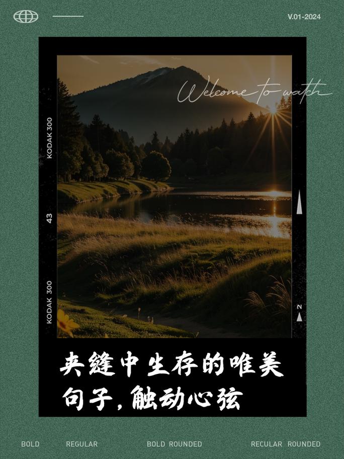 暗流与微光，当发卡网与链动小铺在夹缝中起舞