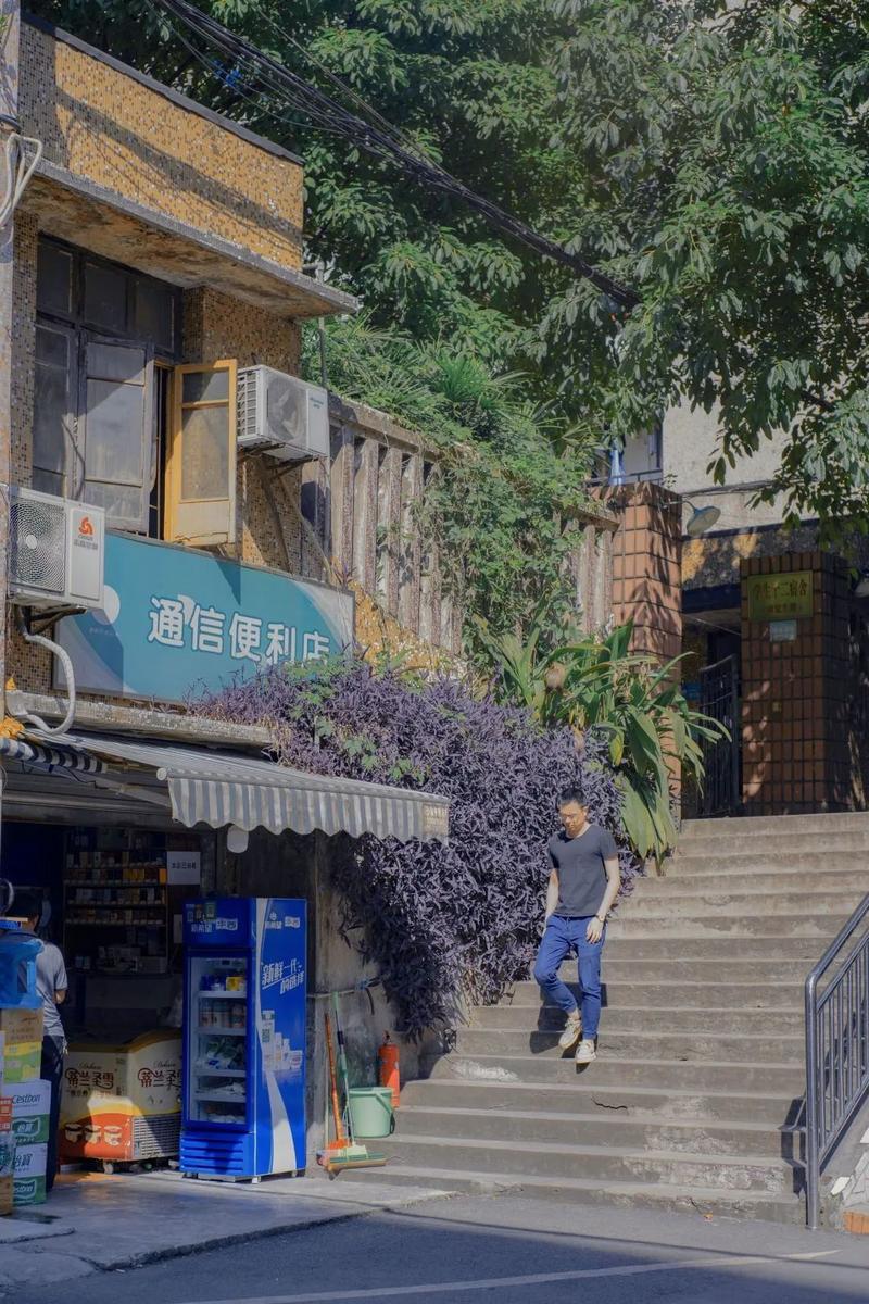 发卡网与链动小铺,隐秘角落的数字便利店生存实录