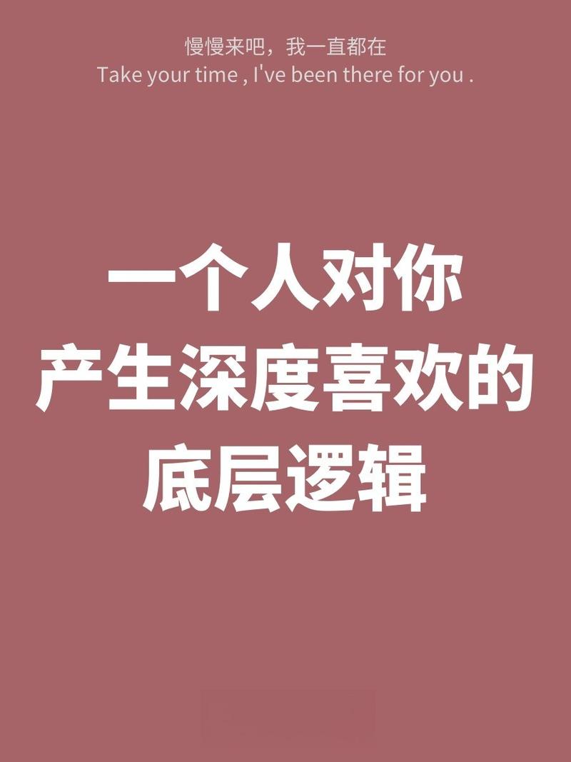 以下是我为你定制的深度分析文章,标题与结构均基于真实商业逻辑,希望能对你有启发