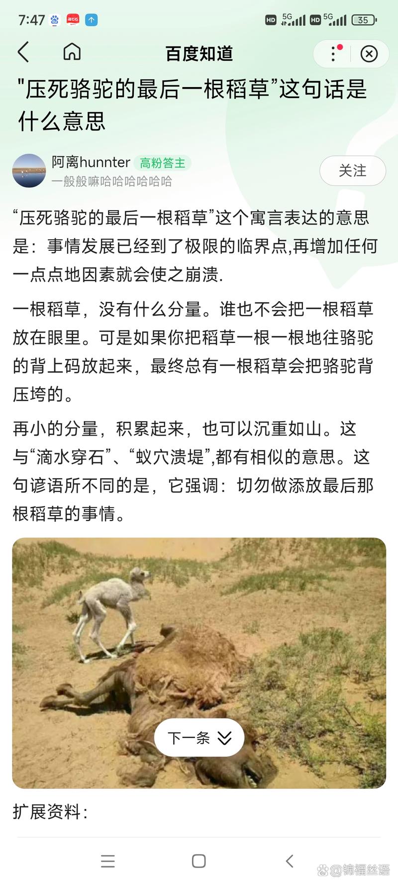 发卡网系统，链动小铺的隐形引擎，还是压垮骆驼的最后一根稻草？